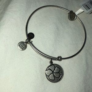 Alex and Ani “Friend” Bracelet